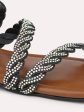 Women Black Embellished Open Toe Flats Fashion