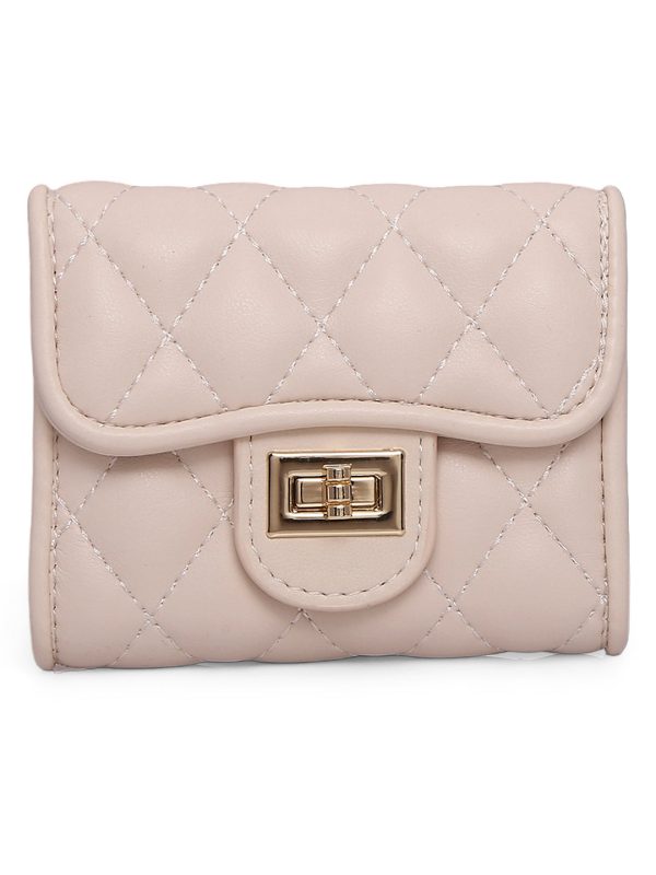 Inc.5 Women Beige Textured Card Holder Wallet Online